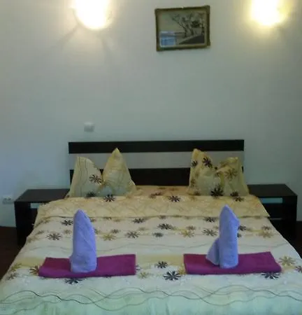 Casa Frasin Buşteni