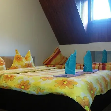 Casa Frasin 2*